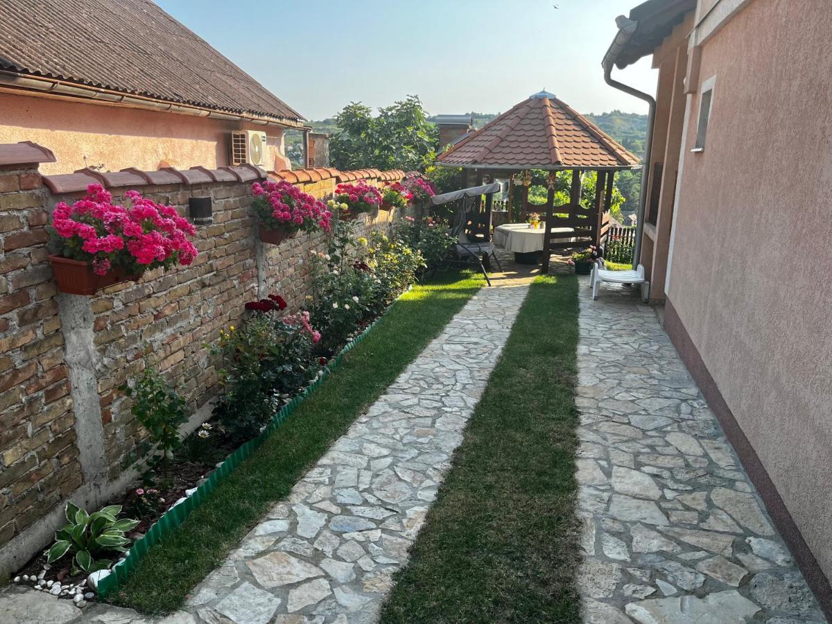 Apartman Simona Vrdnik Esterno foto